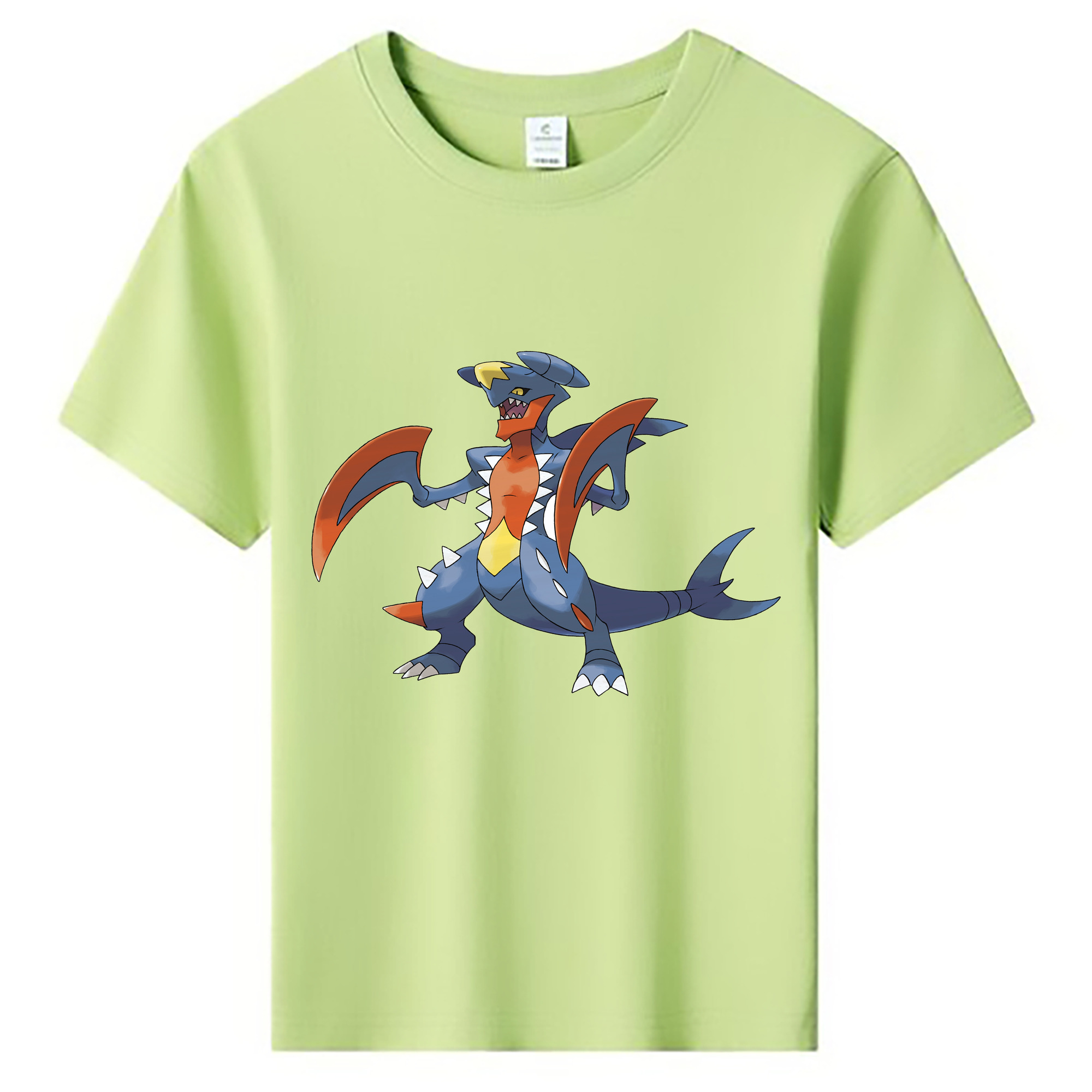 （画像用） ポケットモンスター Pokémon 綿100％キッズTシャツ（フロントプリント）